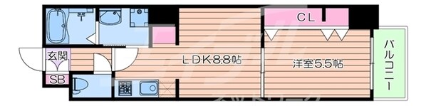 CIFI大阪天満の物件間取画像